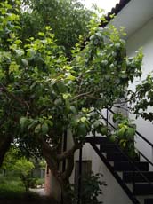 Casas Rurales Pepe y Mercedes