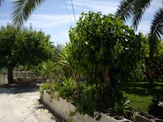 Casas Rurales Pepe y Mercedes