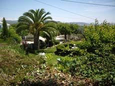 Casas Rurales Pepe y Mercedes