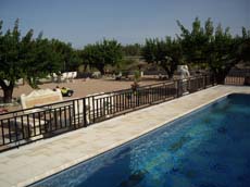 Cortijo "LAS MARGARITAS"