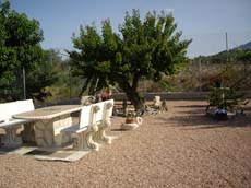 Cortijo "LAS MARGARITAS"