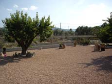 Cortijo "LAS MARGARITAS"