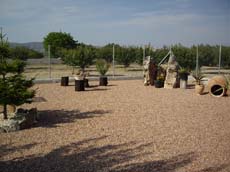 Cortijo "LAS MARGARITAS"