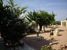 Cortijo "LAS MARGARITAS"