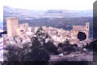 Morata10.jpg (4379 bytes)