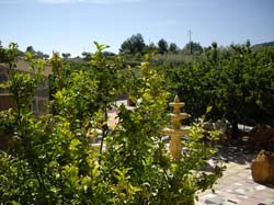 CASAS RURALES "EL PIPI"