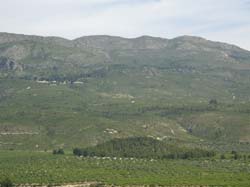 Casas Rurales "EL PIPI"