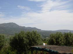 Casas Rurales "EL PIPI"