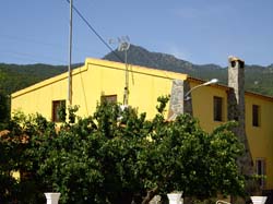 Casas Rurales "EL PIPI"