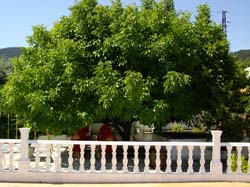 Casas Rurales "EL PIPI"