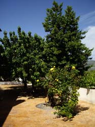 Casas Rurales "EL PIPI"