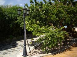 Casas Rurales "EL PIPI"