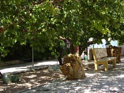 Casas Rurales "EL PIPI"