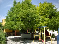 Casas Rurales "EL PIPI"