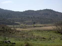 ALOJAMIENTOS RURALES "LA ERMITA"