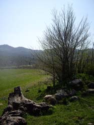 ALOJAMIENTOS RURALES "LA ERMITA"