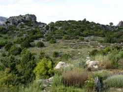 ALOJAMIENTOS RURALES "LA ERMITA"