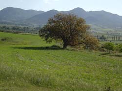 ALOJAMIENTOS RURALES "LA ERMITA"