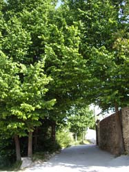 Acceso - ALOJAMIENTOS RURALES "LA ERMITA"