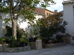 Campo de San Juan (Moratalla) - ALOJAMIENTOS RURALES "LA ERMITA"