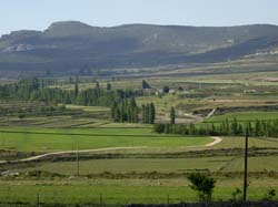 Campo de San Juan - ALOJAMIENTOS RURALES "LA ERMITA"