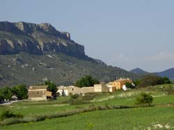 Vista - ALOJAMIENTOS RURALES "LA ERMITA"