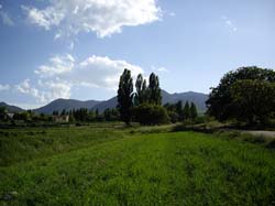 ALOJAMIENTOS RURALES "LA ERMITA"
