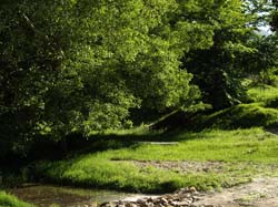 Campo de San Juan - ALOJAMIENTOS RURALES "LA ERMITA"