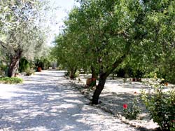 Casa Rural LOS GUINDOS