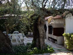 Casa Rural LOS GUINDOS