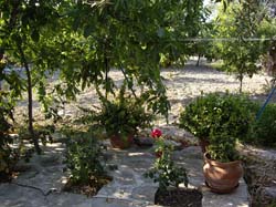 Casa Rural LOS GUINDOS