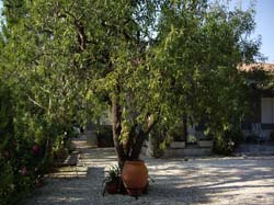 Casa Rural LOS GUINDOS