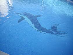 Casa Rural LOS GUINDOS