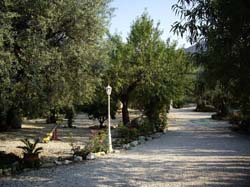 Casa Rural LOS GUINDOS