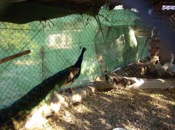 Casa Rural LOS GUINDOS